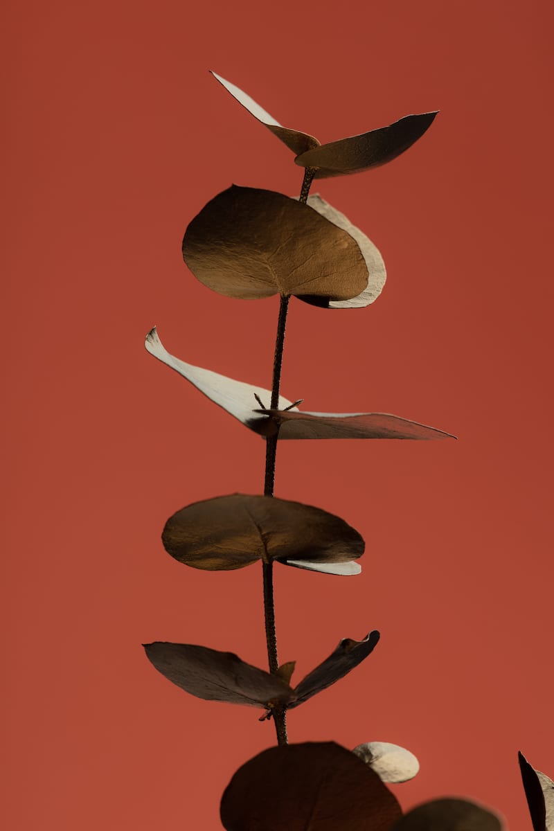 motive-image