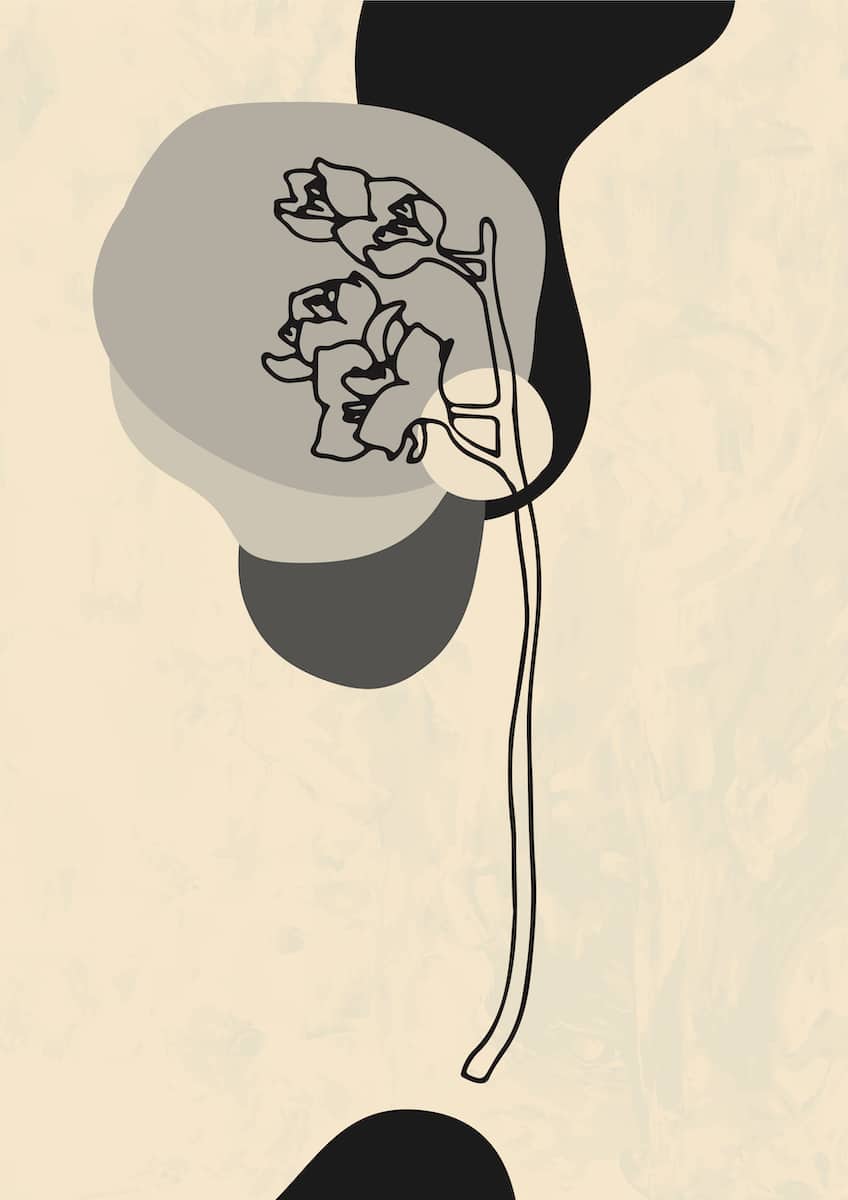 motive-image