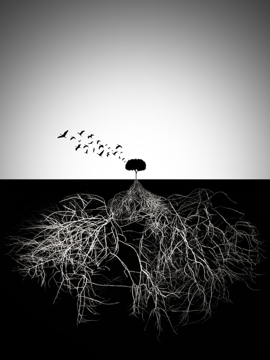 motive-image