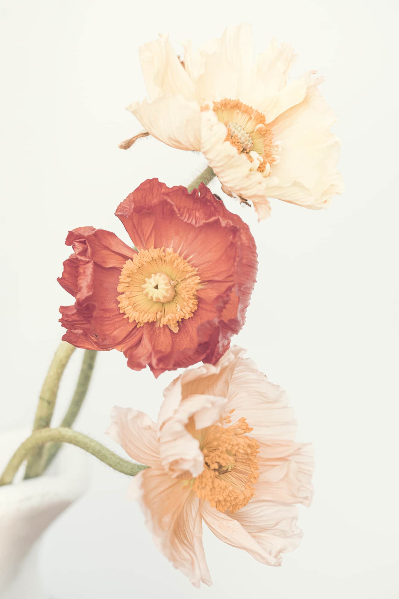 motive-image