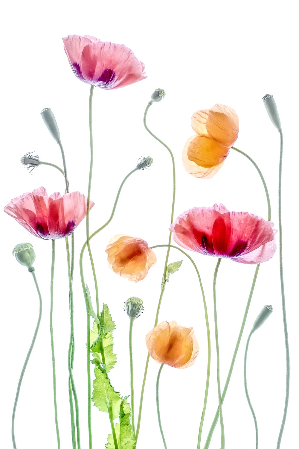 motive-image
