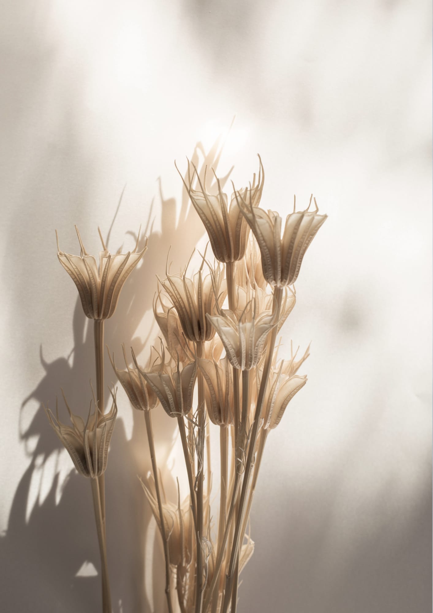 motive-image