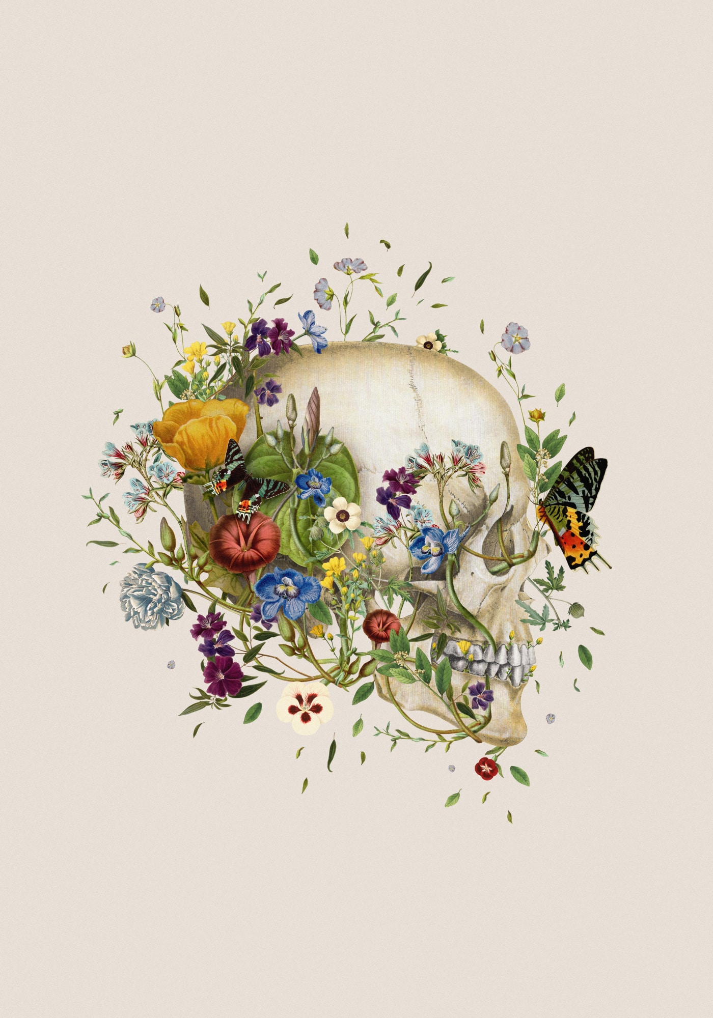 motive-image