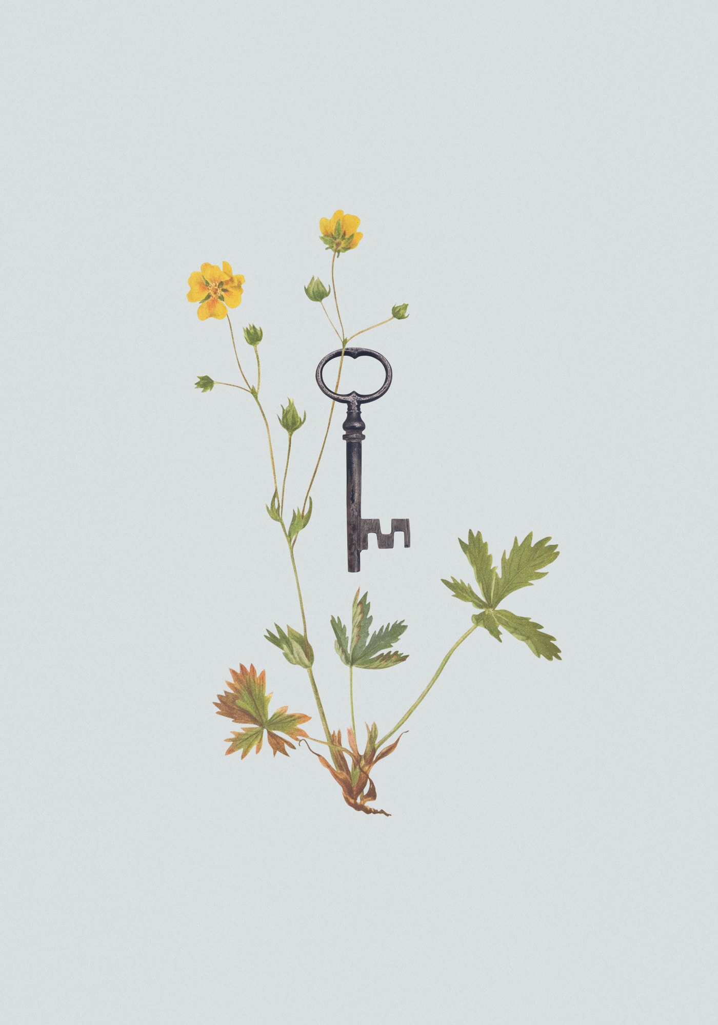 motive-image