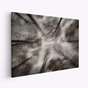 Lærred - The First Autumn Storm