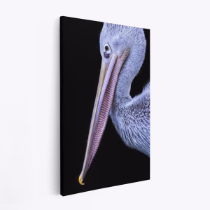 Lærred - Profile of Patience