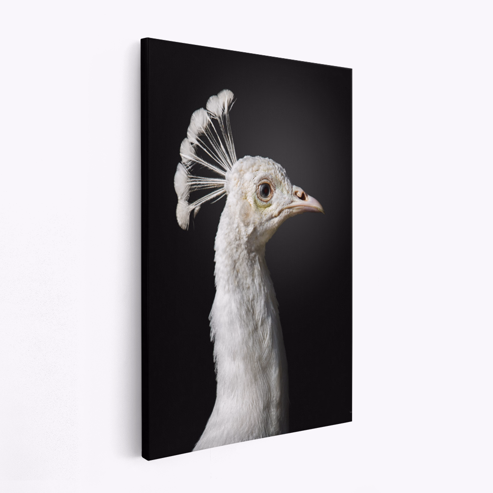 Lærred - M A J E S T I C