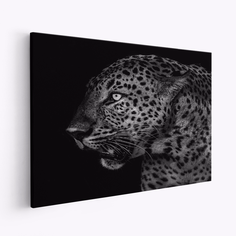 Lærred - Leopard's Gaze