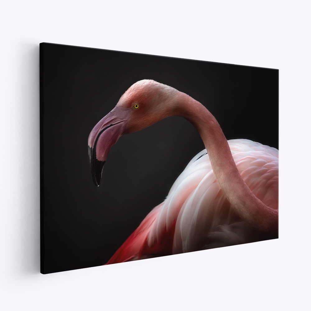 Lærred - Flamingo portrait