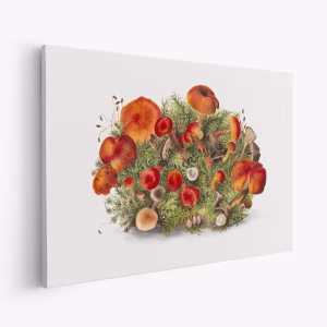 Lærred - Study of Mushrooms (1880) Horizontal