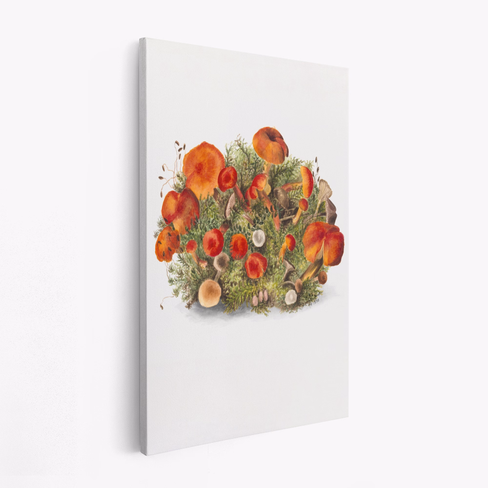 Lærred - Study of Mushrooms (1880) Portrait Mode