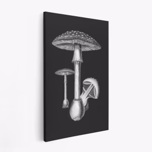 Lærred - Amanita Muscaria Dark Background BW