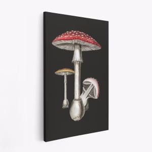 Lærred - Amanita Muscaria Dark Background