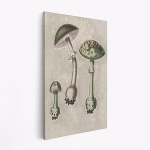 Lærred - Amanita Muscaria Remix Green