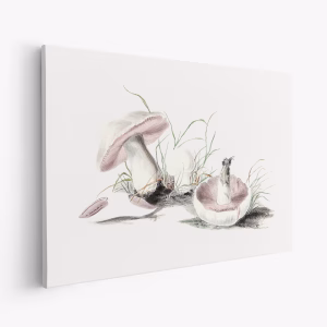 Lærred - Hand Drawn Field Mushroom