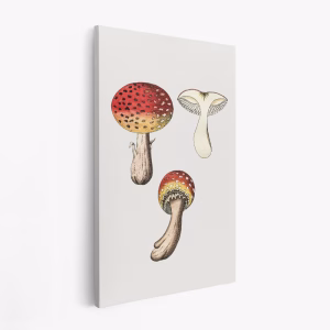 Lærred - Hand Drawn Fly Agaric Mushroom