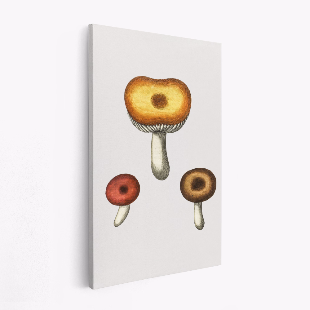 Lærred - Hand Drawn Galerina Mushroom