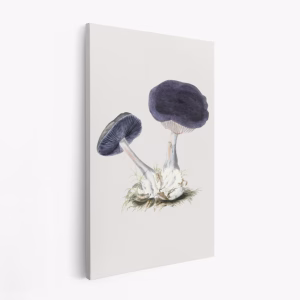 Lærred - Vintage Violet Webcap Mushroom