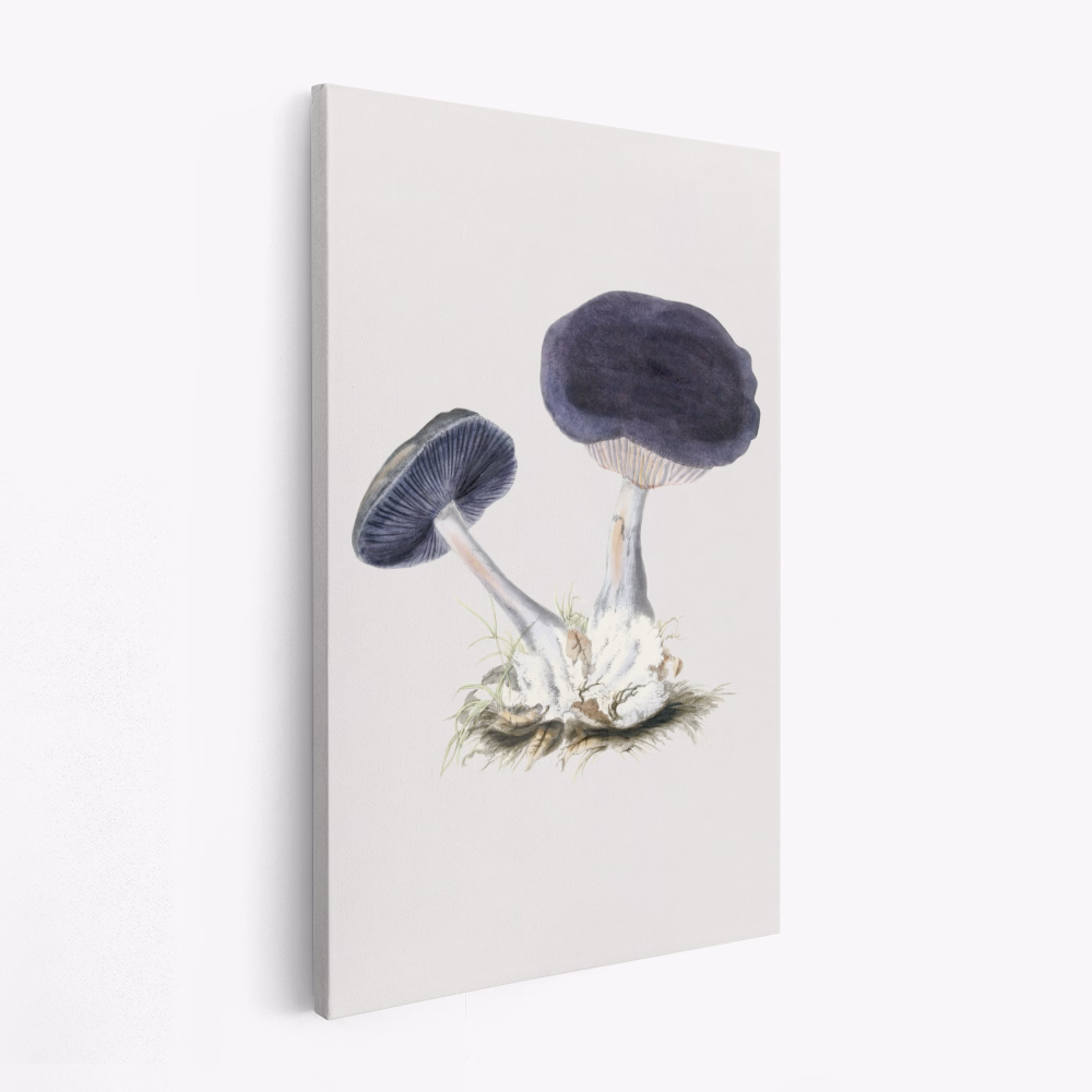 Lærred - Vintage Violet Webcap Mushroom